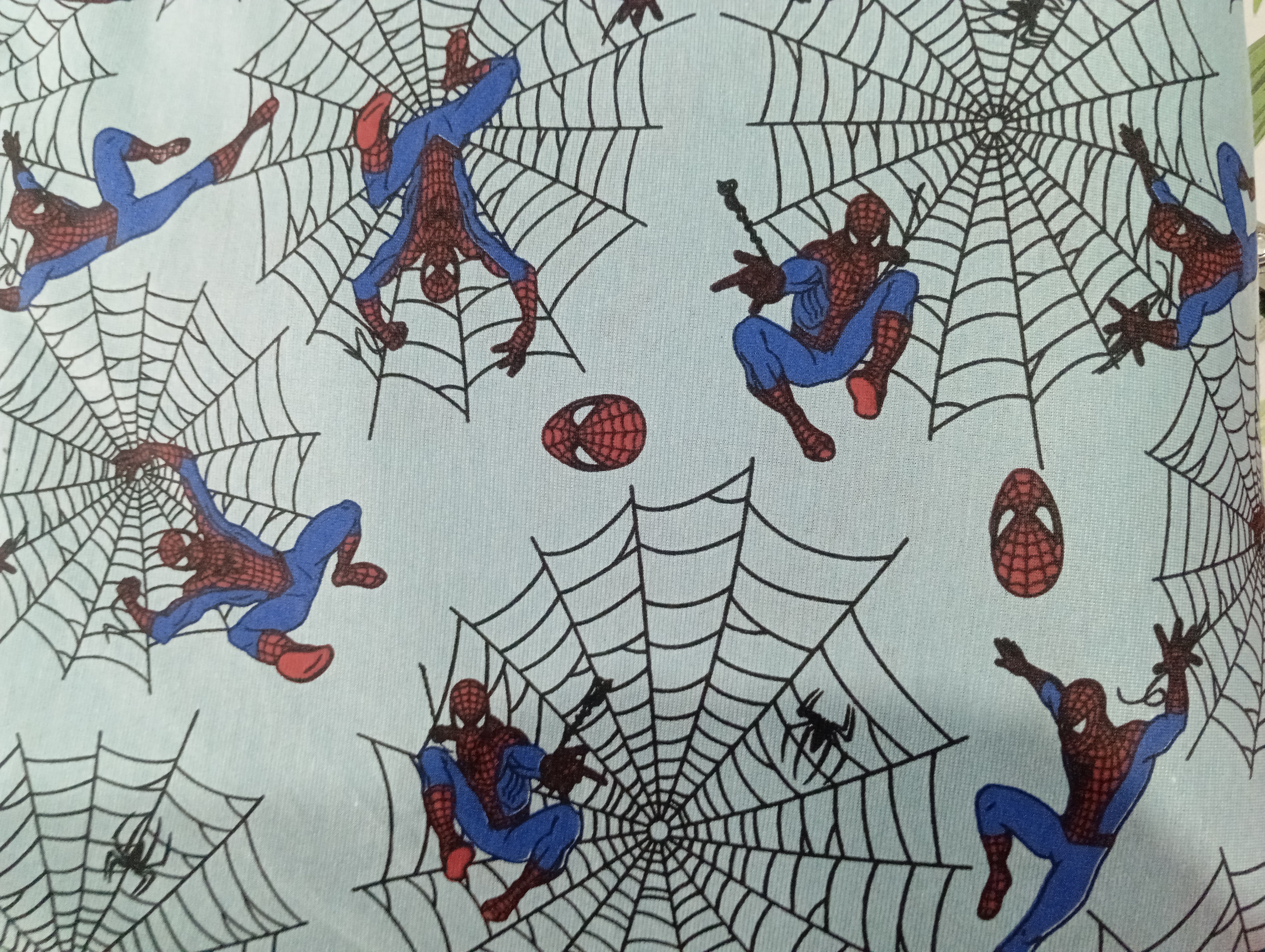 Homem Aranha